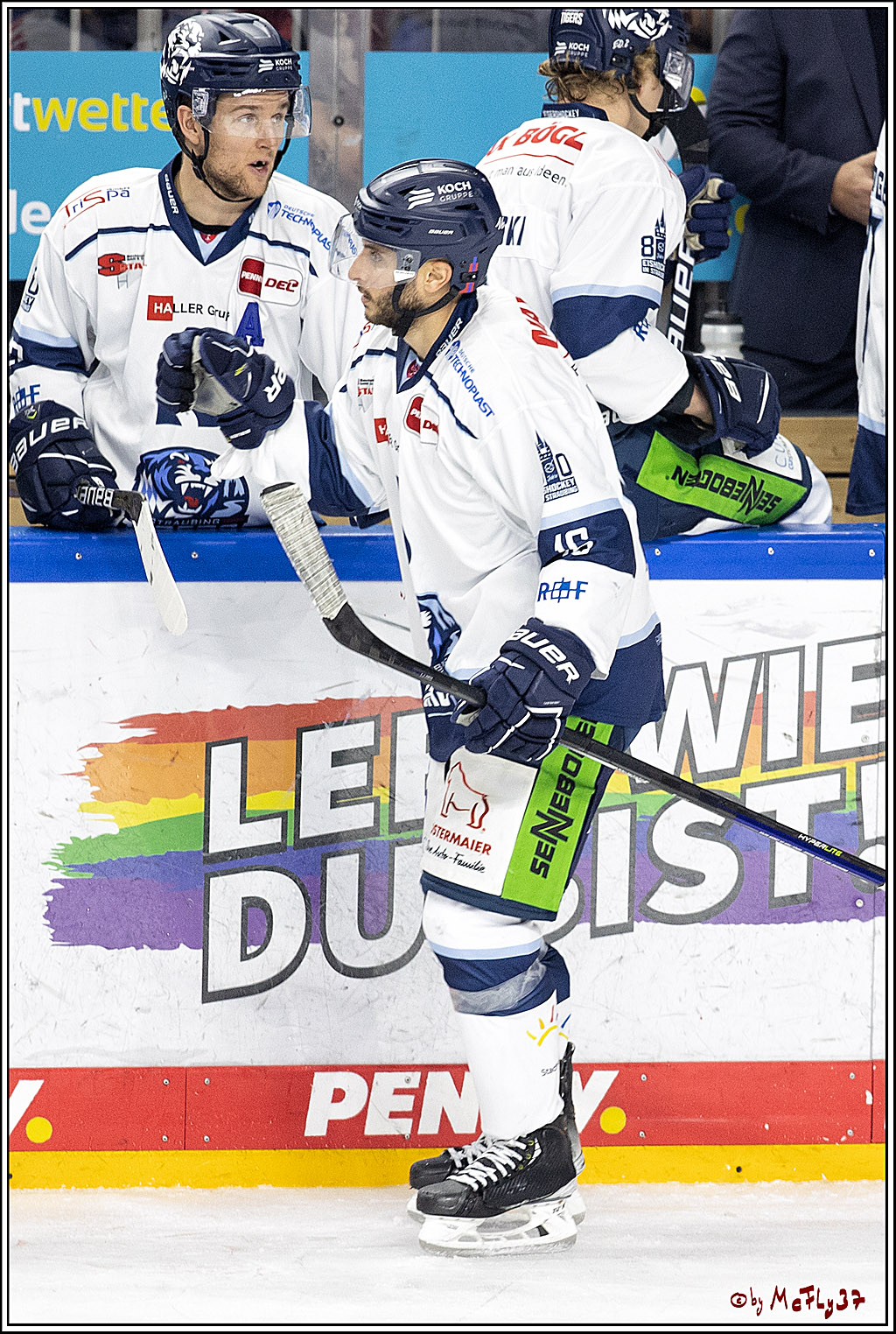 PENNY DEL;  Koelner Haie - Straubing Tigers; Koeln, 15.10.2021